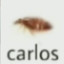 carlos.rodriguez2001