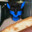 FoXy_LaD