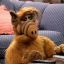 ALF