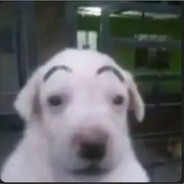 Paw Durst