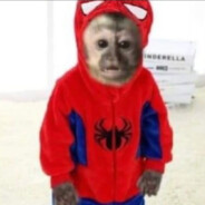 osrata rit pterodaktyl