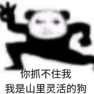 追我自动下载原神