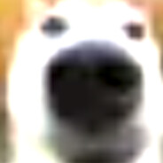 Zeeky's avatar