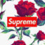 supreme