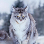 比奇堡方裤子海绵宝宝