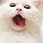 一只酷呆呆的芥末SSR