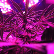 KeretzZ - steam id 76561198937050466