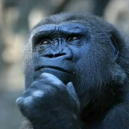 The Thinker