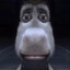 Donkey