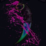 shawleeN - steam id 76561198441452747