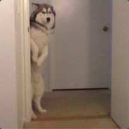 飘逸的电竞可可帝