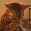 xoxoxoox's avatar