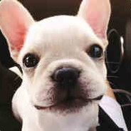 香蕉你个波呐呢