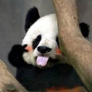 dota让你赢你就输不了