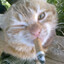 WhiskyCoke_