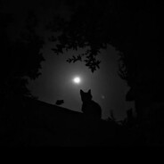 ✰𝖑𝖝𝖈𝖍𝖔✰