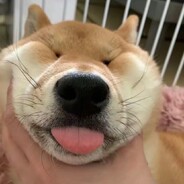 放学来我家玩吧