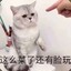 小君嘟