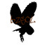 bzsol's avatar
