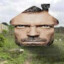 Doctor House