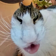 老师问我练习册交了吗 我说这姿势有点难