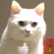 长矛沾屎扎谁谁死