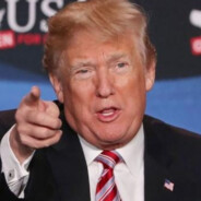 做白日梦的猪头川普梦