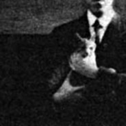 Lovecraft's  Cat