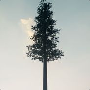 你是我昨夜的梦