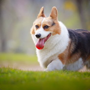 我早已看穿一切