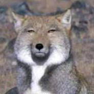 月亮不睡我不睡