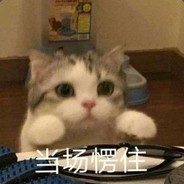 乖乖一起玩通宵