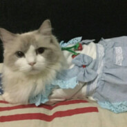 ！中剧毒了  ！