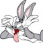 BunnyBOSS