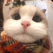 哈基米超级无敌大旋风