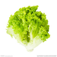 学校的沃柑比我甜