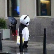 牛子仙人爱舔大电