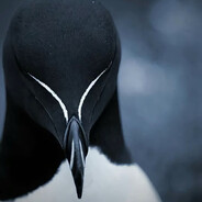 icantstophavingphonesex