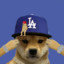 DaDog