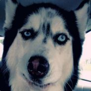 Псина - steam id 76561197961158618