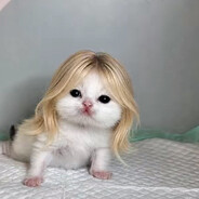 josef