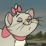 鸽王大赛总冠军