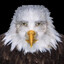 PATRIOT