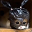 Avatar of Double Hee