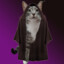 SithCat