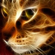 Nezy. - steam id 76561197970993395