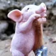 翻斗花园掏粪工阿刁