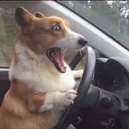 干得漂亮布鲁斯