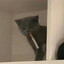 badass cat smoking cigarette