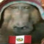 williansaxsaiguaman